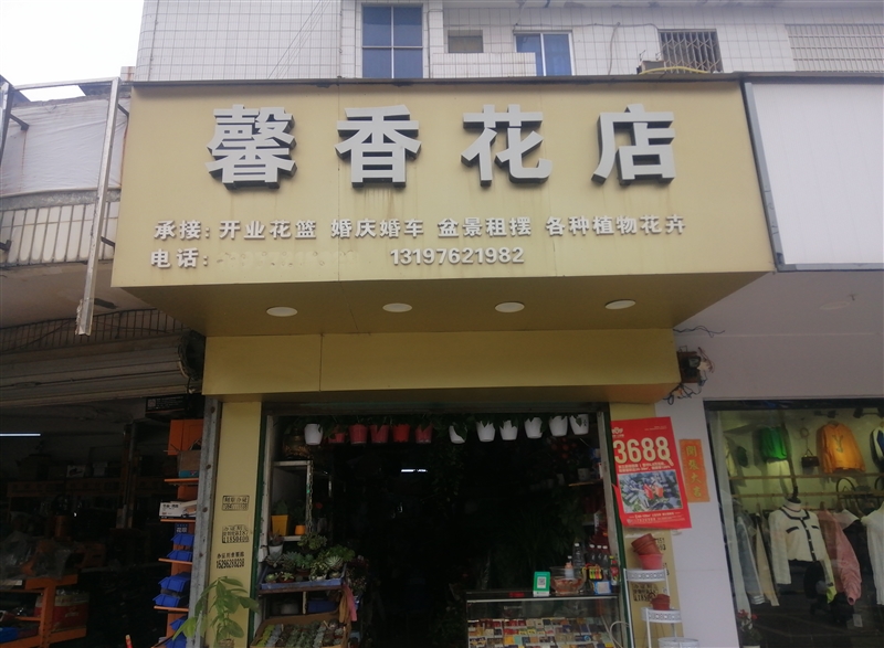 柳城馨香花店的圖標(biāo)