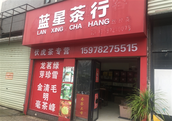 藍星茶行