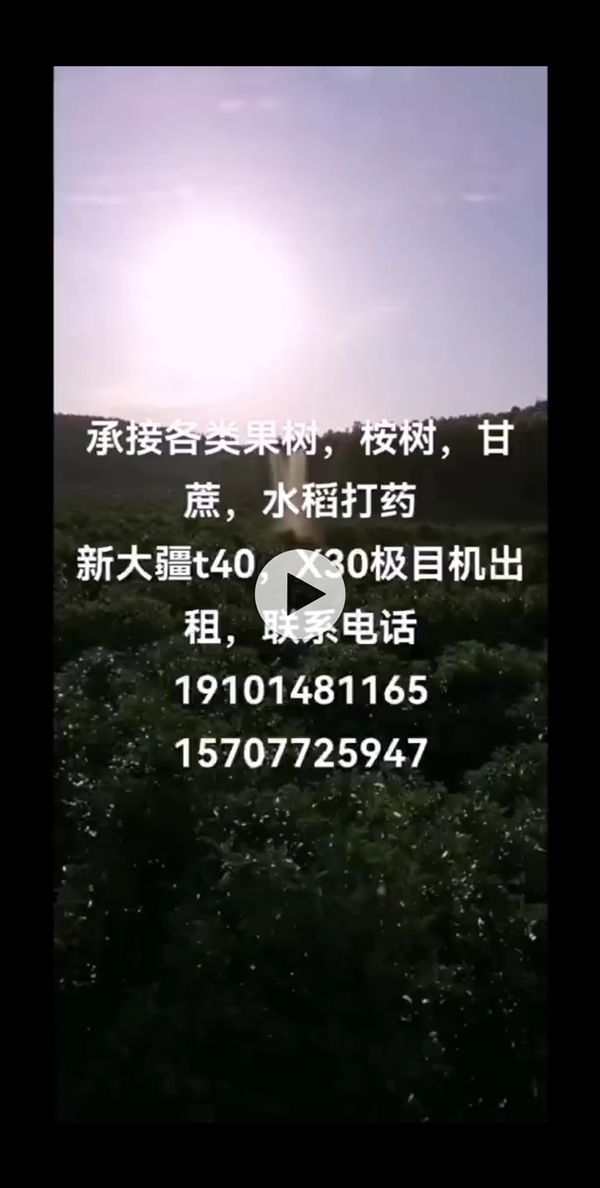 供銷電商飛防植保服務團隊的圖標