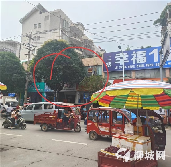 商貿(mào)城門面出租