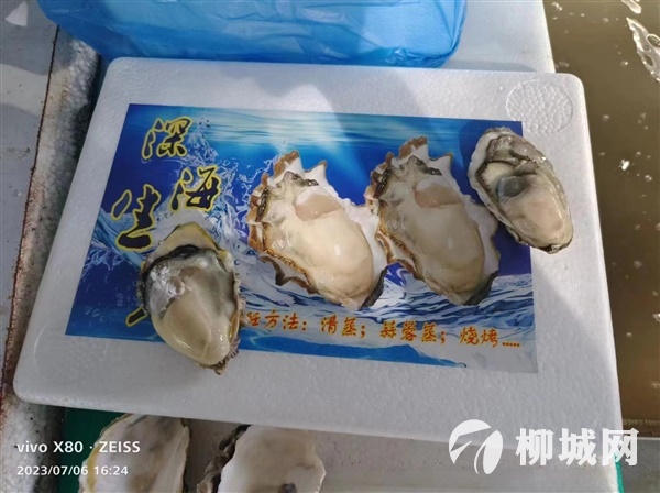 新鮮生蠔  14.5一件    26.8兩件 明天早上8點半到貨