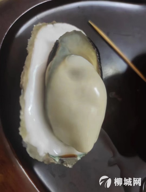 新鮮生蠔  14.5一件    26.8兩件 明天早上8點半到貨