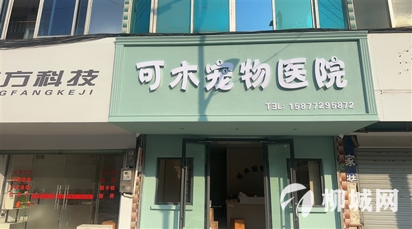 可木寵物醫院試營業啦！1月20日-1月27日全場商品8折