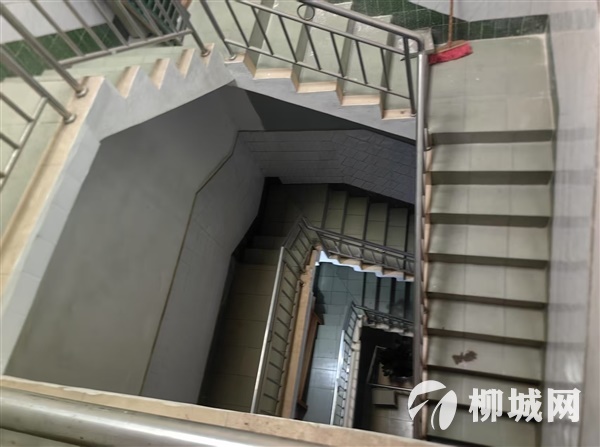 白陽中路